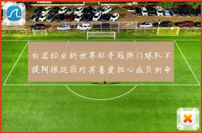 白岩松分析世界杯夺冠热门球队不提阿根廷因对其喜爱担心成贝利命运
