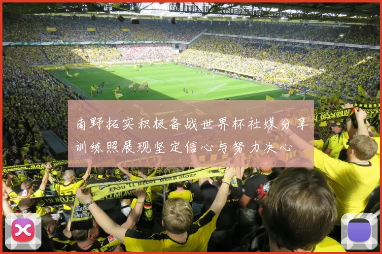 南野拓实积极备战世界杯社媒分享训练照展现坚定信心与努力决心