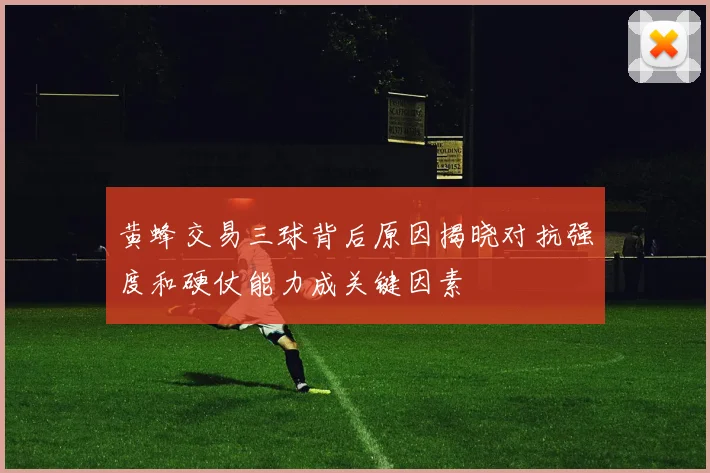 黄蜂交易三球背后原因揭晓对抗强度和硬仗能力成关键因素