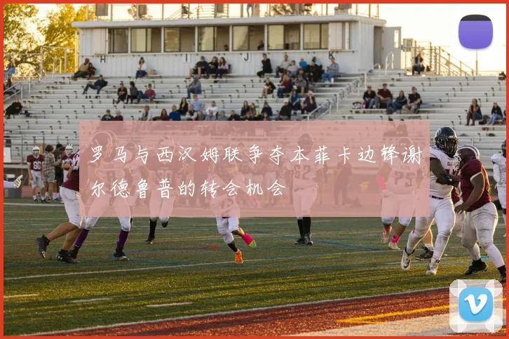 罗马与西汉姆联争夺本菲卡边锋谢尔德鲁普的转会机会
